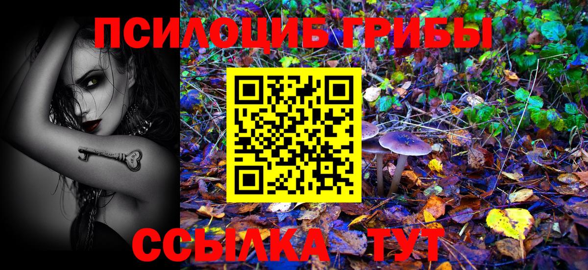 Галлюциногенные грибы GOLDEN TEACHER  Вход с VPN  Кудымкар 